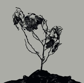 Disque vinyle Innerwoud & Treha Sektori - Split (Limited Edition) (10" LP) - 1