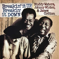Грамофонна плоча Muddy Waters - Breakin It Up Breakin It Down (Translucent Gold Coloured) (2 LP)