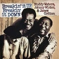Muddy Waters - Breakin It Up Breakin It Down (Translucent Gold Coloured) (2 LP)