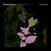 Музичний компакт-диск Daniel Lanois - Belladonna Nocturne (CD)