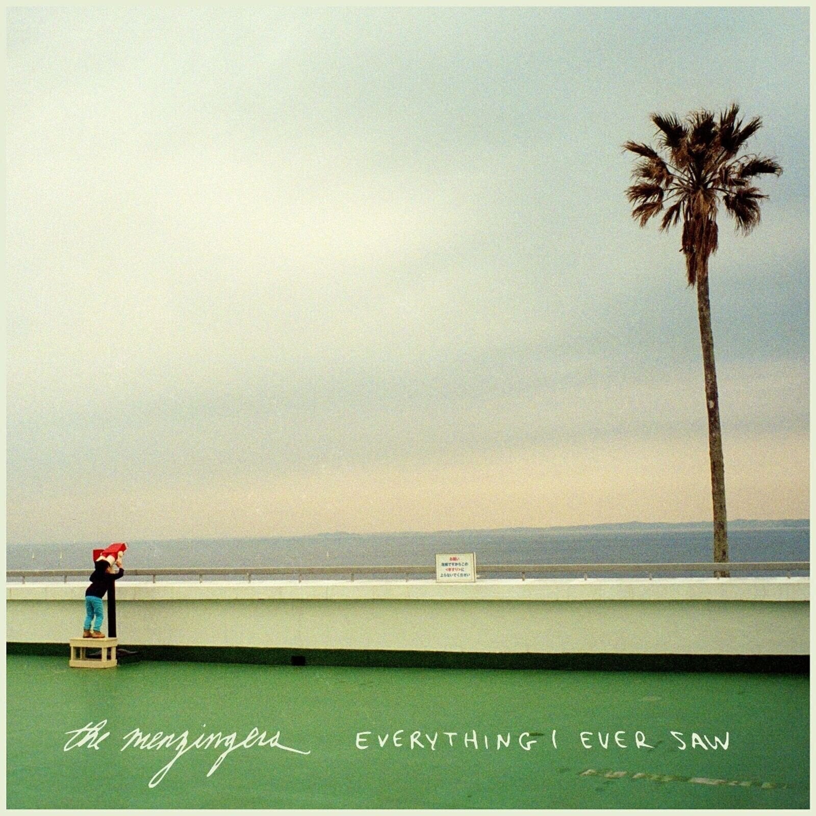 LP The Menzingers - Everything I Ever Saw (LP)