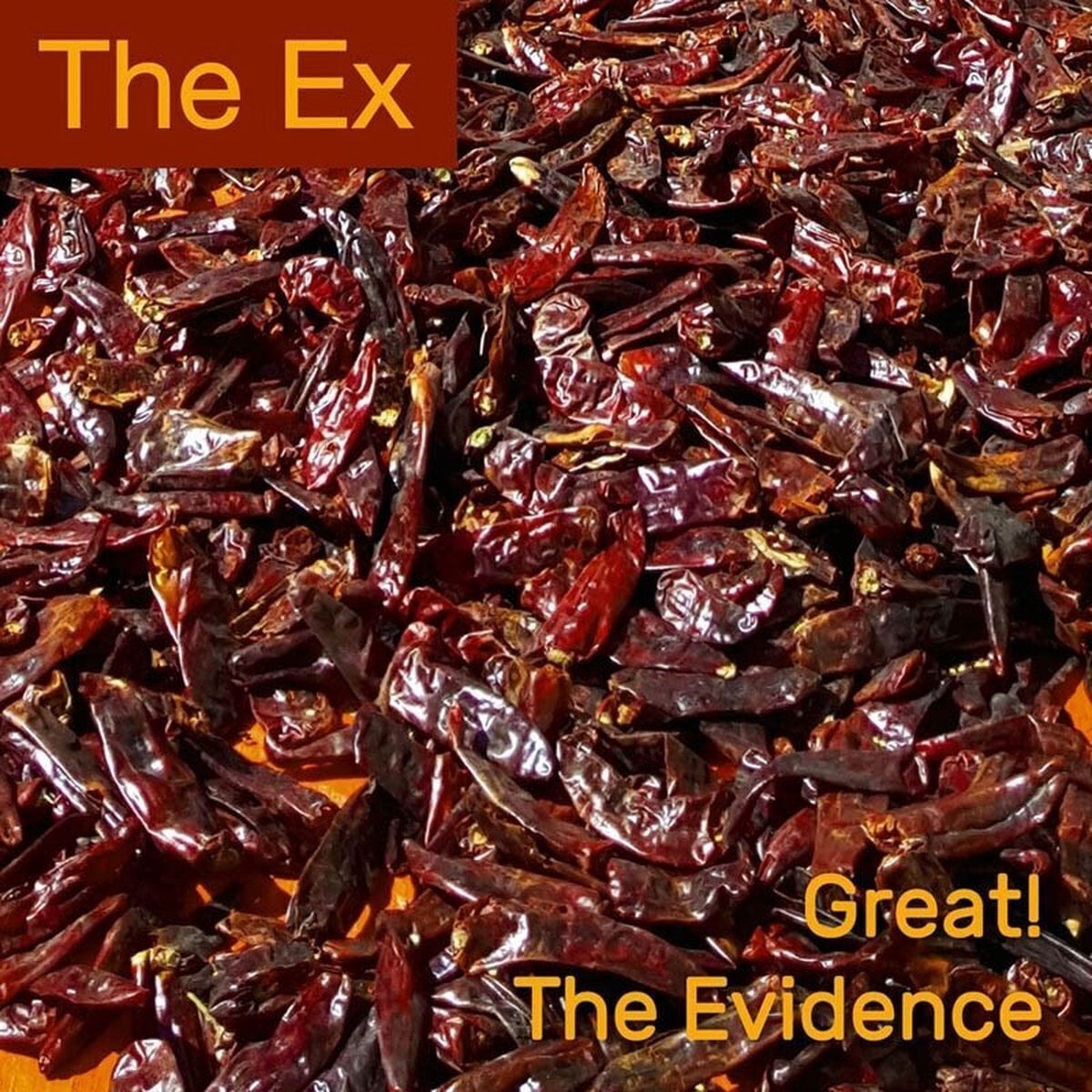 Hanglemez The Ex - Great! / The Evidence (7")