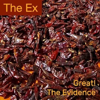 Hanglemez The Ex - Great! / The Evidence (7") - 1