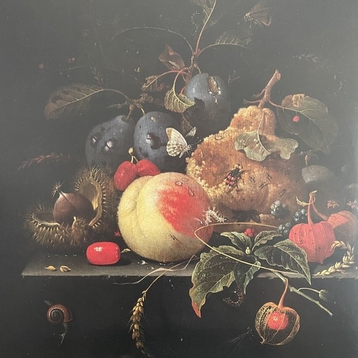 Disque vinyle Unwed Sailor - Truth Or Consequences (Limited Edition) (LP)