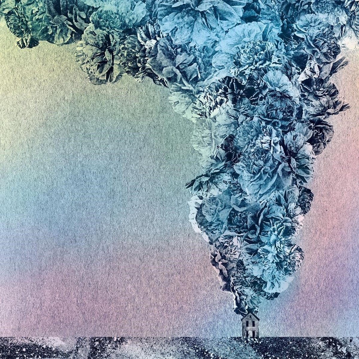 Hanglemez Daughn Gibson - Carnation (Transparent Coloured) (LP)