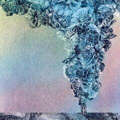 Hanglemez Daughn Gibson - Carnation (Transparent Coloured) (LP)