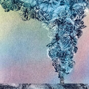 Hanglemez Daughn Gibson - Carnation (Transparent Coloured) (LP) - 1