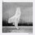 LP ploča Föhn - Condescending (Limited Edition) (White Coloured) (2 LP)