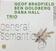Disco de vinilo Geof Bradfield & Ben Goldberg & Dana Hall - General Semantics (Green Coloured) (LP)