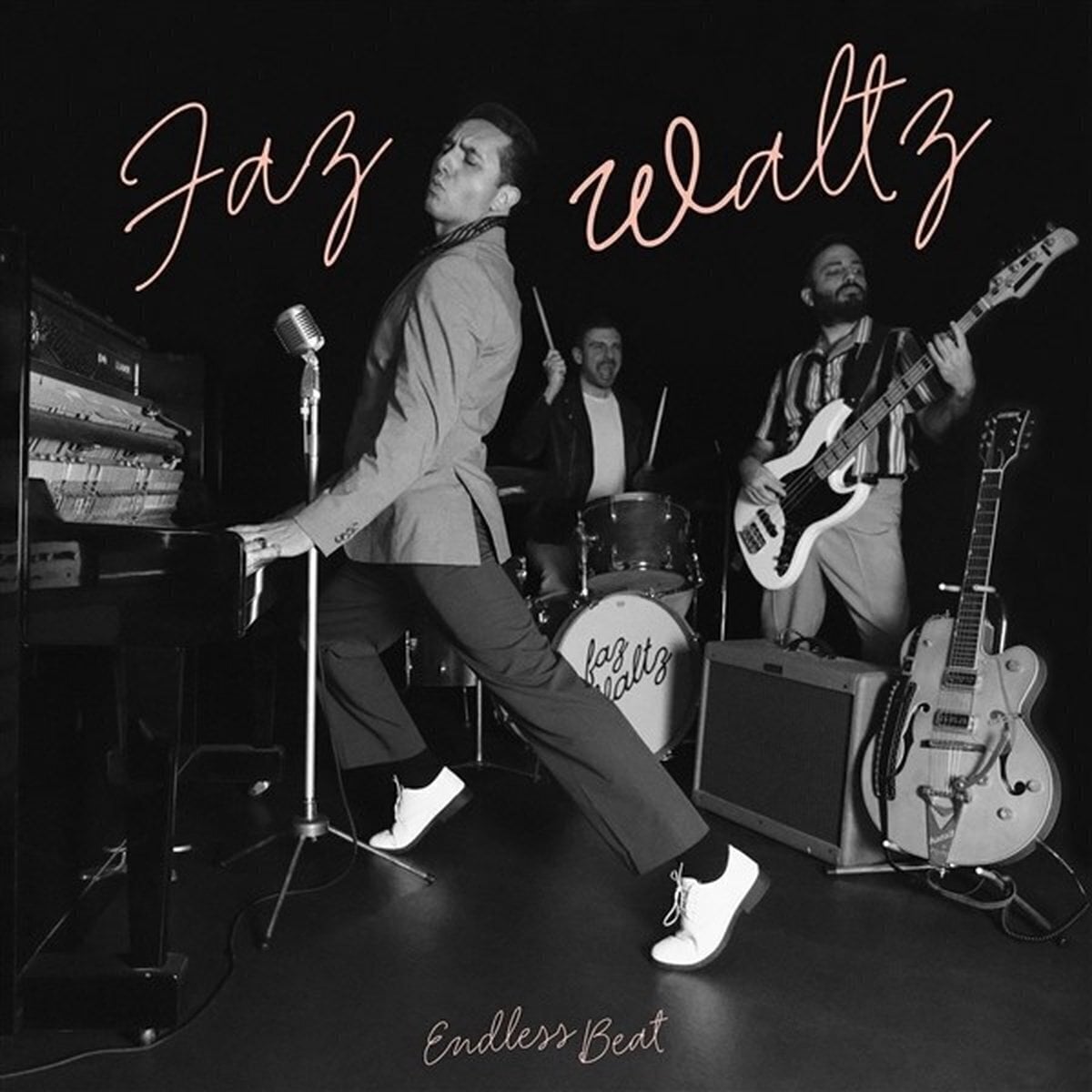 Disque vinyle Faz Waltz - Endless Beat (LP)