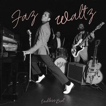 Disque vinyle Faz Waltz - Endless Beat (LP) - 1