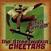 Vinyl Record The Streetwalkin' Cheetahs - Crazy Operator (LP)