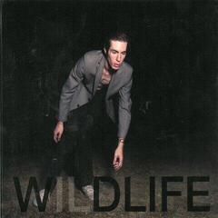 Вінілові платівки The Icarus Line - Wildlife (2 LP)