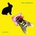 Schallplatte The Striggles - Aloha (LP)