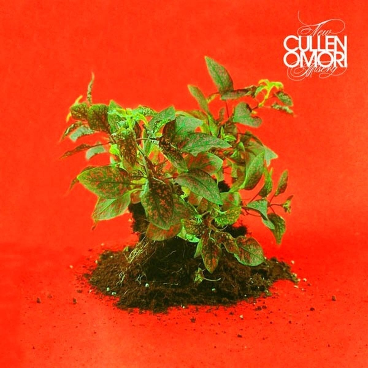 Vinylplate Cullen Omori - New Misery (Loser Edition) (Clear Coloured) (LP)