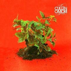 Vinylplate Cullen Omori - New Misery (Loser Edition) (Clear Coloured) (LP)