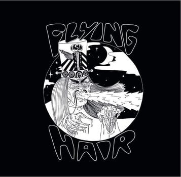 Disco de vinil Flying Hair - Haunted Hangout II (LP) - 1