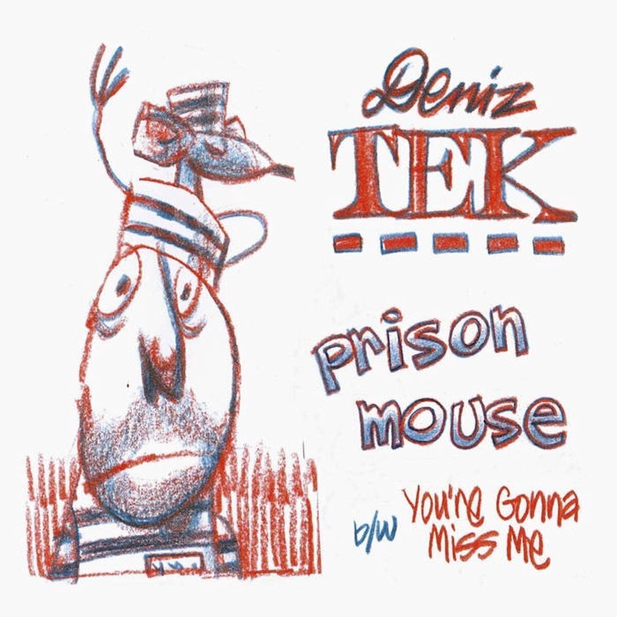 Vinyl Record Deniz Tek - Prison Mouse (LP)