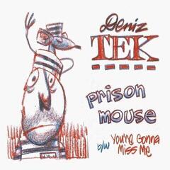 Vinyl Record Deniz Tek - Prison Mouse (LP)