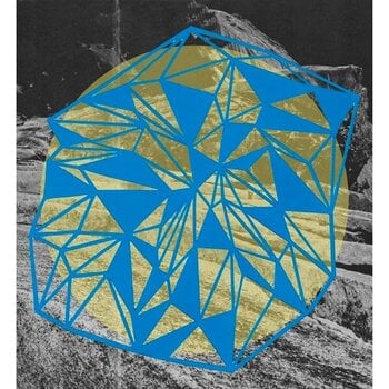Vinüülplaat Broads - Field Theory (LP) - 1