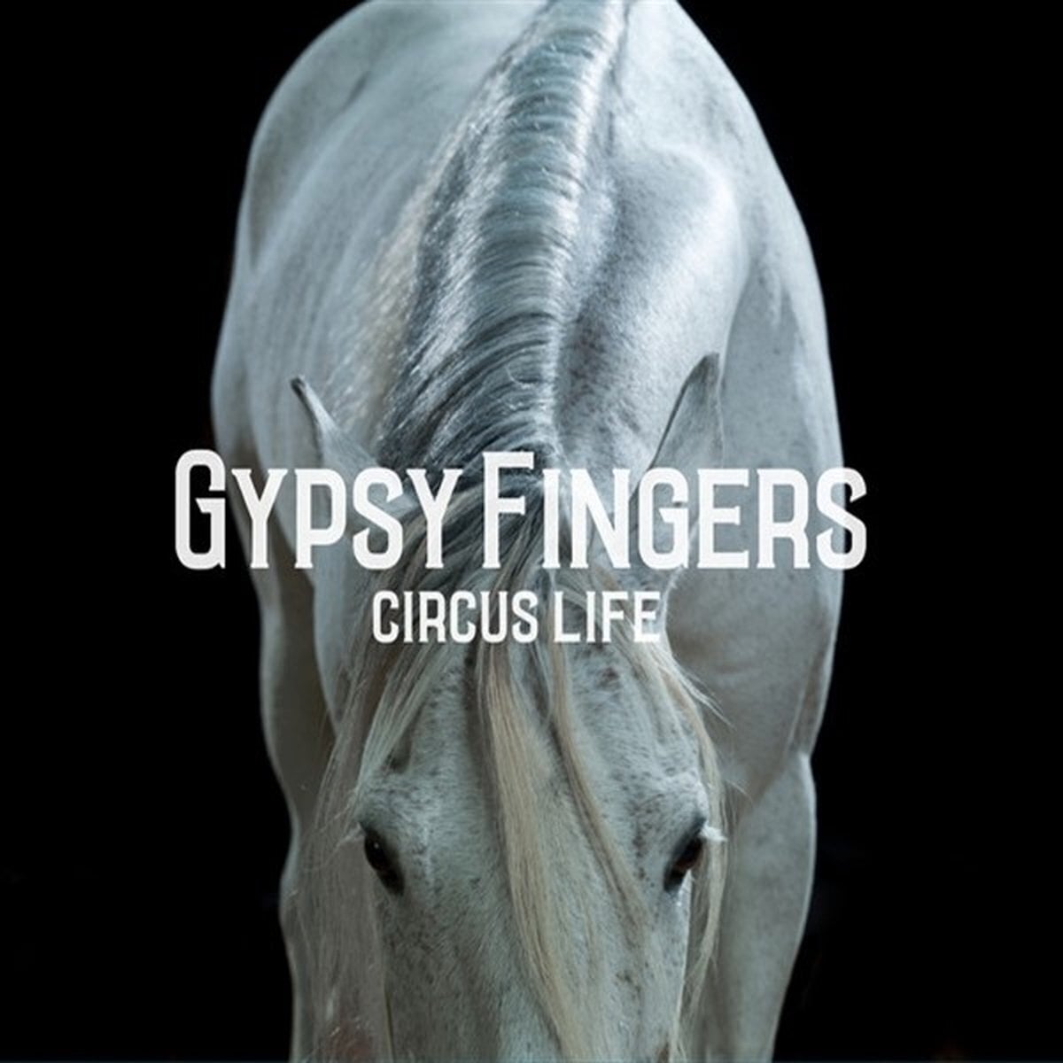 Disque vinyle GypsyFingers - Circus Life (LP)