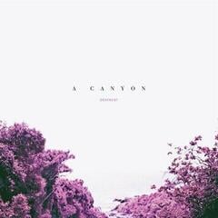 Disque vinyle Deathlist - A Canyon (LP)
