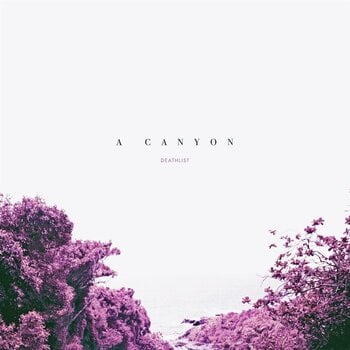 Disque vinyle Deathlist - A Canyon (LP) - 1