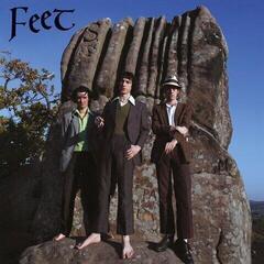 Disque vinyle The Fat White Family - Feet (LP)