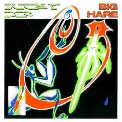 Vinylplate Big Hare - Lucky Dip (LP)