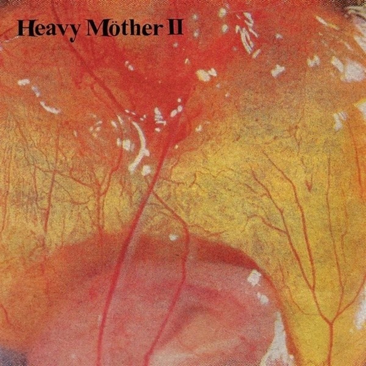 Disque vinyle Heavy Möther II - Heavy Möther II (LP)