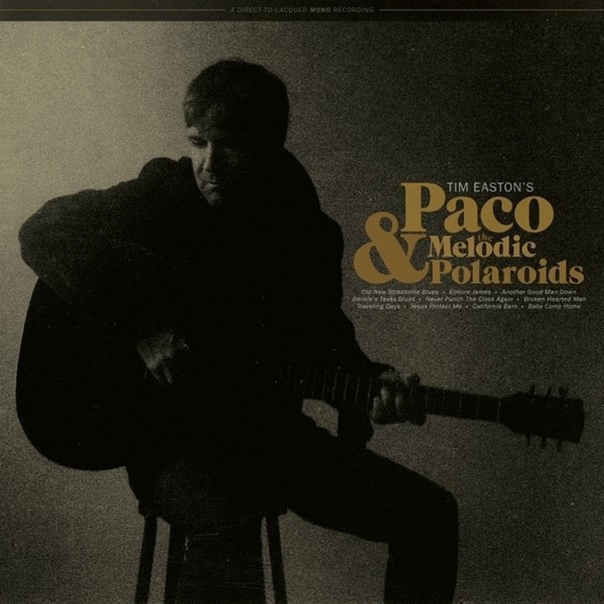 Hanglemez Tim Easton - Paco & The Melodic Poloroids (LP)