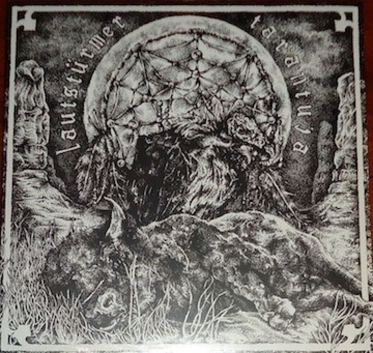 Disque vinyle Lautstürmer & Tarantuja - Split LP (LP)