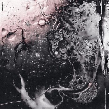 Disque vinyle Esaïa - Mindscapes (LP) - 1