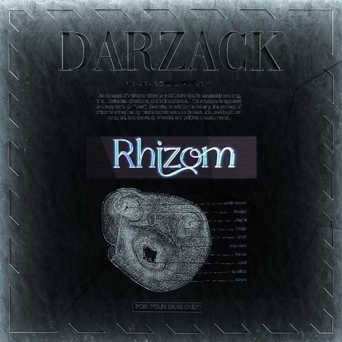 Disque vinyle Darzack - Rhizom (2 LP)