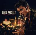 Elvis Presley - Rock N' Roll Hero (LP)