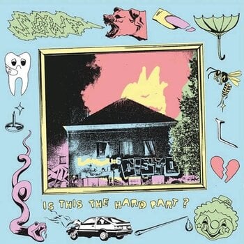 Disque vinyle SØWT - Is This The Hard Part? (LP) - 1