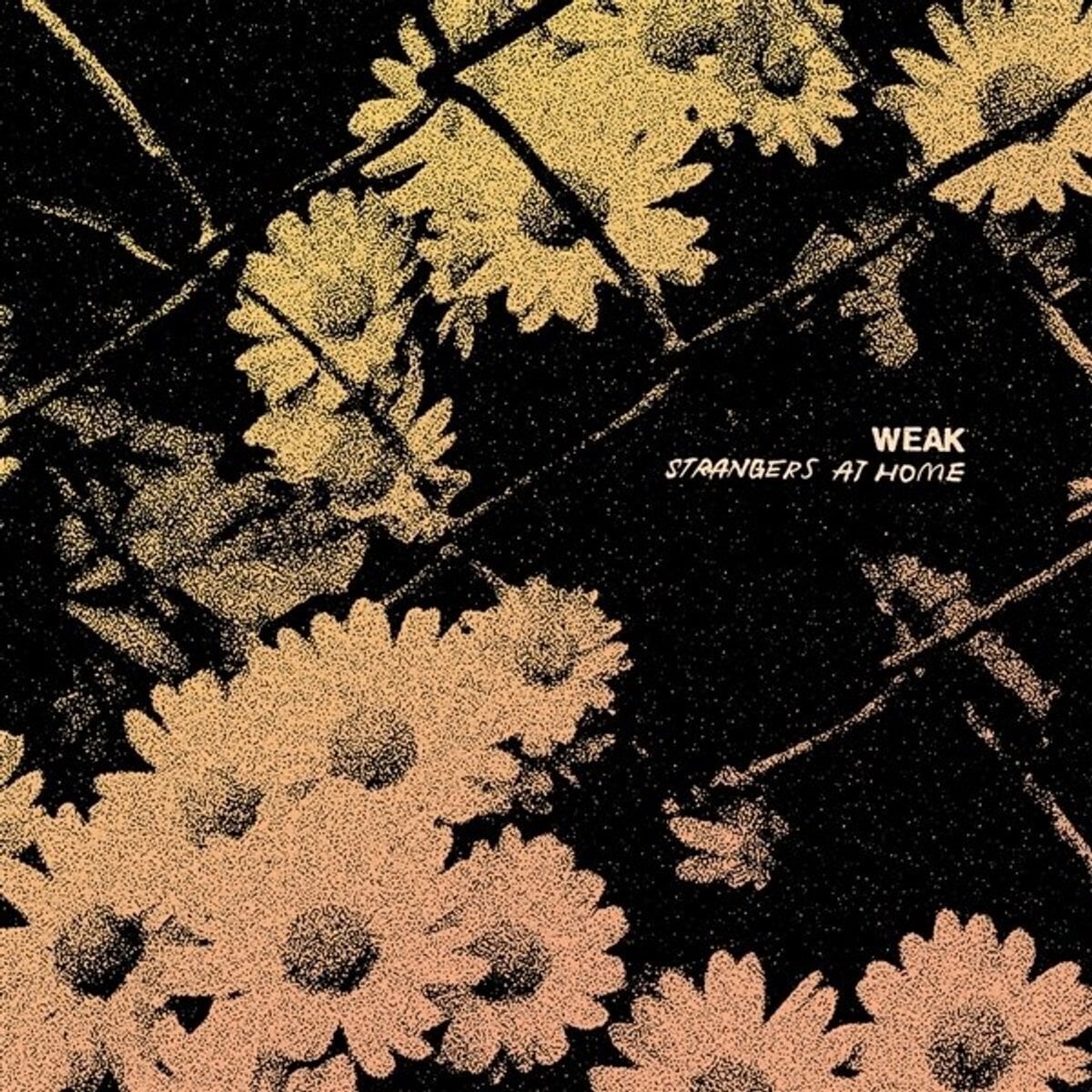 Disco in vinile Weak - Strangers At Home (LP)