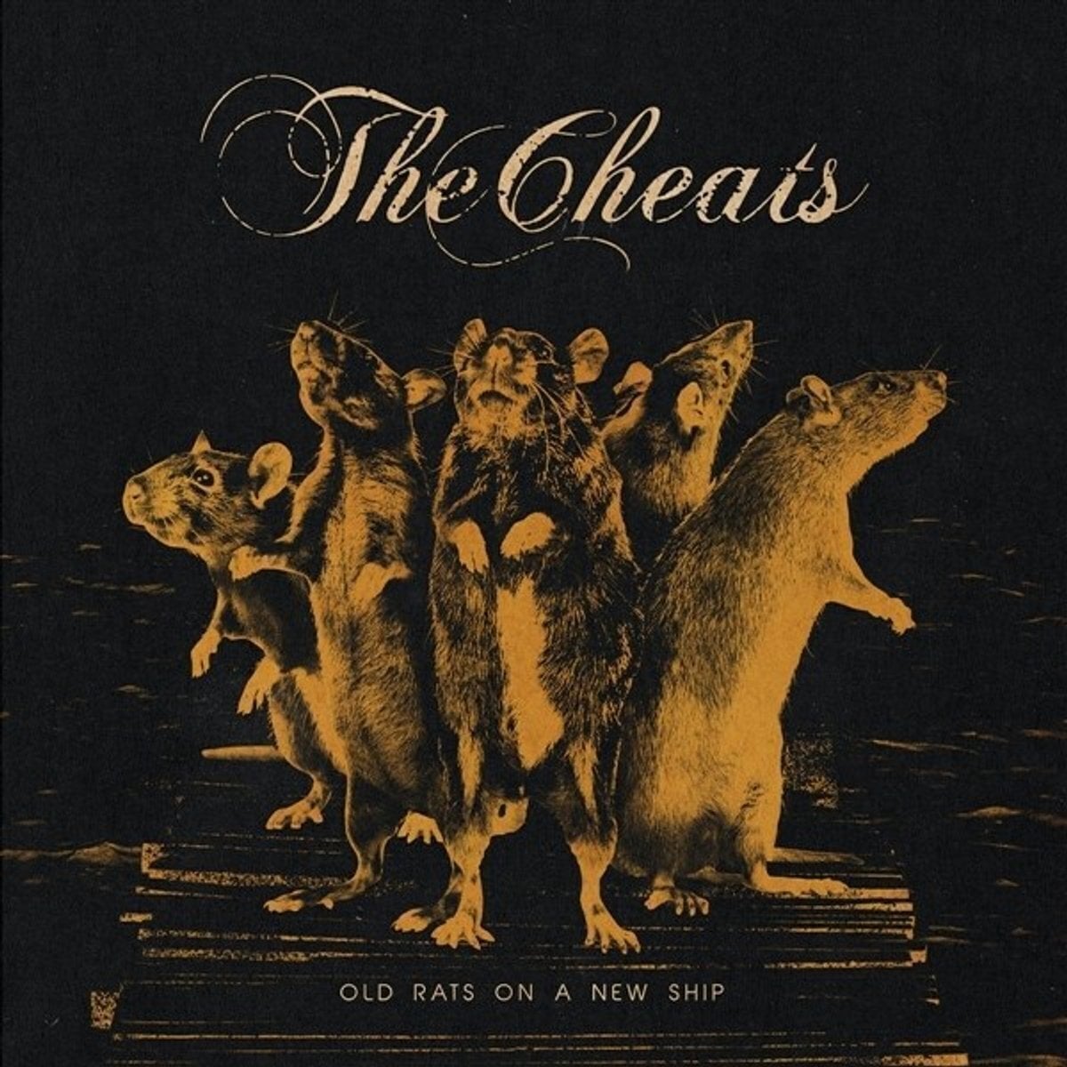 Vinylskiva The Cheats - Old Rats On A New Ship (LP)