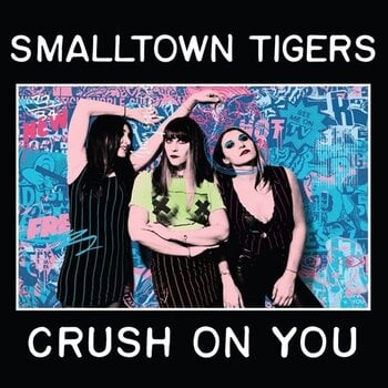 Schallplatte Smalltown Tigers - Crush On You (Limited Edition) (Pink Coloured) (LP) - 1