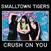 Schallplatte Smalltown Tigers - Crush On You (Limited Edition) (Pink Coloured) (LP)