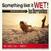 Hanglemez Los Derrumbes - Something Like It Wet / Roddin' At The Beach (LP)