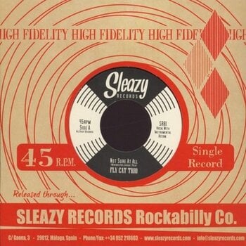 Vinyl Record Fly Cat Trio - Not Sure At All / Easy Comes, Easy Goes (LP) - 1