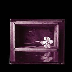 Disque vinyle Rob Crow & Kramer - Hymns (7")