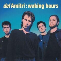 Hanglemez Del Amitri - Waking Hours (Limited Edition) (- Blue Coloured) (LP)