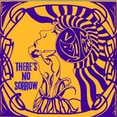 Disco in vinile Project V - There's No Sorrow (LP)