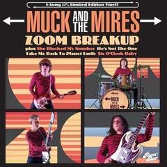 Disque vinyle Muck And The Mires - Zoom Breakup (LP)