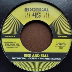 Disco in vinile Nat Birchall & The Rockers Disciples & Don Fe & Rootikal 45 - Rise And Fall (LP)
