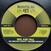Disco in vinile Nat Birchall & The Rockers Disciples & Don Fe & Rootikal 45 - Rise And Fall (LP)