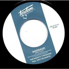 Disque vinyle The Mighty Typhoons - Waddasei / What I'd Say (LP)