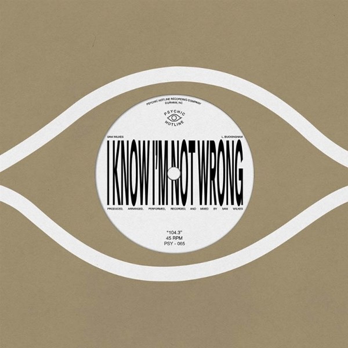 Hanglemez Sam Wilkes - 104, 3 (LP)